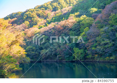 高津戸ダム湖 大間々 秋の風景 高津戸ダム湖 大間々 秋の風景 84390755