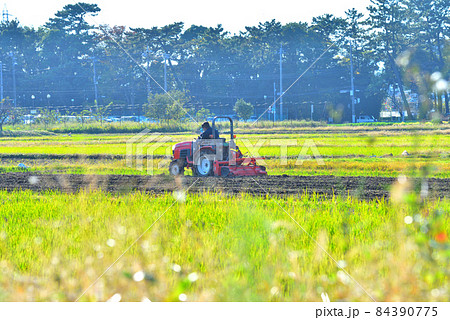 寒川町の田園風景 寒川町の田園風景 84390775