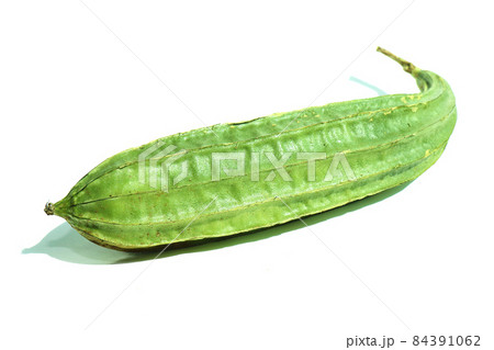 トカドヘチマ（韓国） 84391062