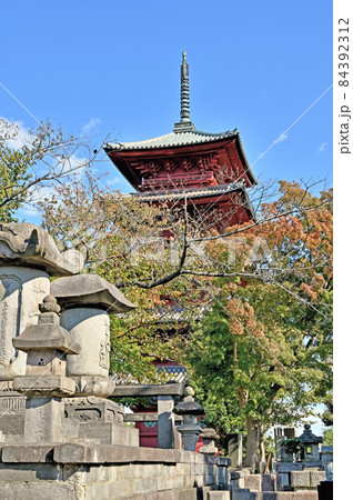 池上散歩:池上本門寺 日蓮宗大本山 五重塔 池上散歩:池上本門寺 日蓮宗大本山 五重塔 84392312
