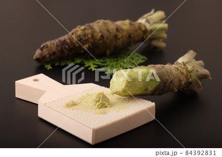 わさび わさび 84392831