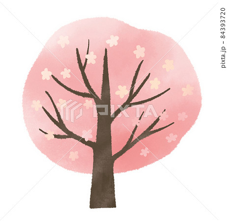 やさしいイメージのシンプルな桜の木のイラストのイラスト素材