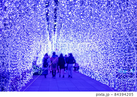 《江の島》　湘南の宝石　ライトアップ　神奈川県藤沢市 84394205