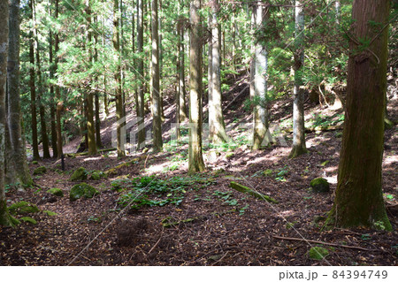 城井ノ上城址 城井ノ上城址 84394749