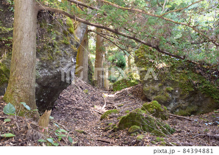 城井ノ上城址・岩の門 城井ノ上城址・岩の門 84394881