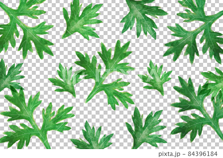 Mugwort Background 84396184