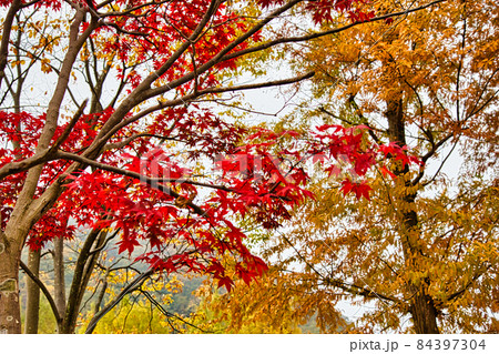 おさごえパーク 84397304