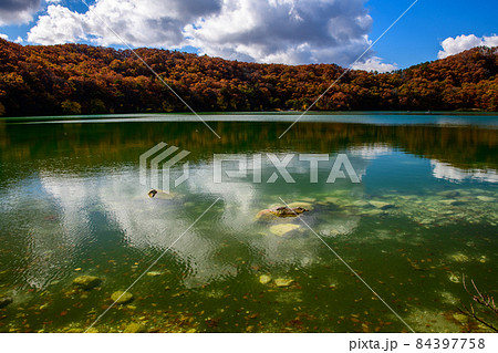 鳴子温泉・潟沼の紅葉と青空（宮城県） 84397758