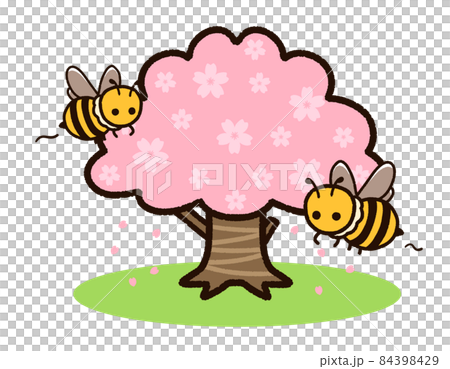可愛的蜜蜂和櫻桃樹 84398429