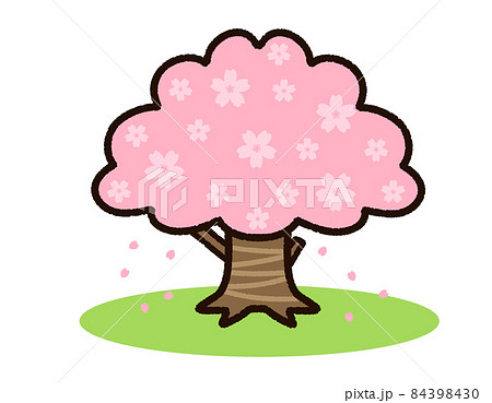 かわいい桜の木 84398430