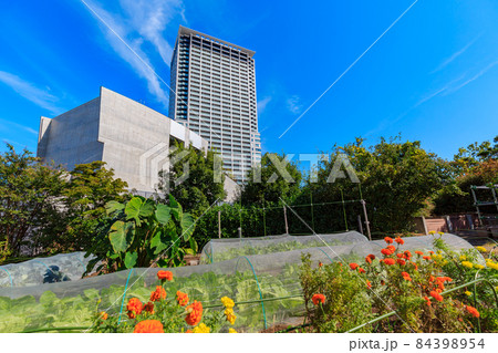 東京　目黒区　目黒天空庭園・オーパス夢ひろば 84398954