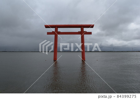 鹿島神宮、西の一之鳥居、茨木県鹿嶋市 鹿島神宮、西の一之鳥居、茨木県鹿嶋市 84399275