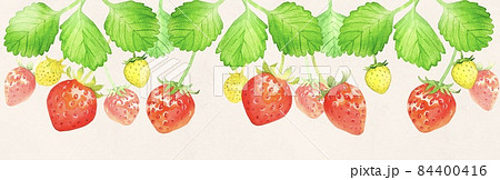 いちごの可愛い水彩イラスト背景 他複数バリエーションあります いちごの可愛い水彩イラスト背景 他複数バリエーションあります 84400416