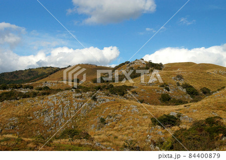 秋の「平尾台」ススキの穂と石灰岩におおわれたカルスト台地の景観 84400879