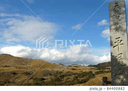 秋の「平尾台」ススキの穂と石灰岩におおわれたカルスト台地の景観 秋の「平尾台」ススキの穂と石灰岩におおわれたカルスト台地の景観 84400882