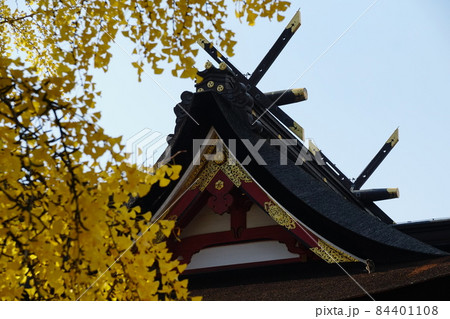 秋の吉備津神社　イチョウと本殿 84401108