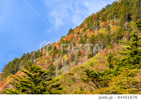 岐阜県と長野県の県境　神坂峠付近からの紅葉の山 84401676
