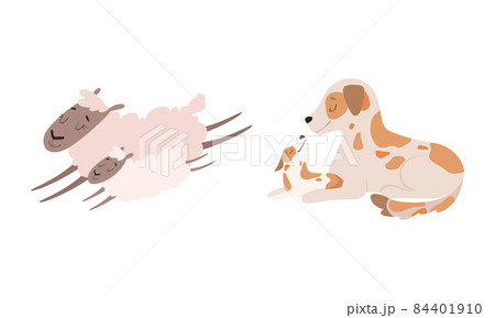 Mom Animal Cuddling with Its Little Cub as Parent Love and Care Vector Set 84401910