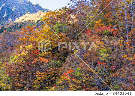 （群馬県）谷川岳　一ノ倉沢・遊歩道の紅葉 84403041
