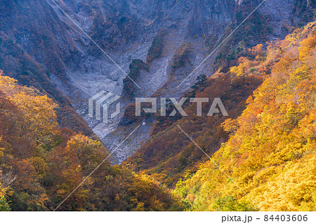 （群馬県）谷川岳・一ノ倉沢　岩壁の紅葉 84403606