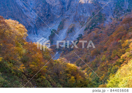 （群馬県）谷川岳・一ノ倉沢　岩壁の紅葉 84403608