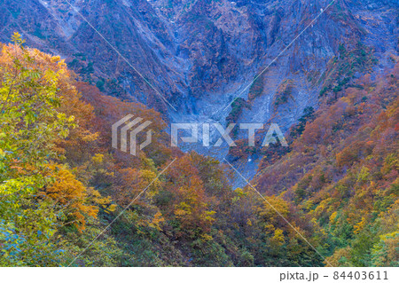 (群馬県)谷川岳・一ノ倉沢 岩壁の紅葉 (群馬県)谷川岳・一ノ倉沢 岩壁の紅葉 84403611