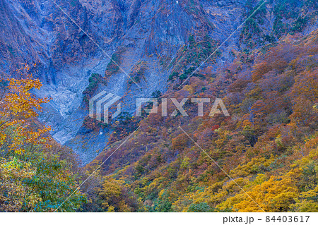 （群馬県）谷川岳・一ノ倉沢　岩壁の紅葉 84403617