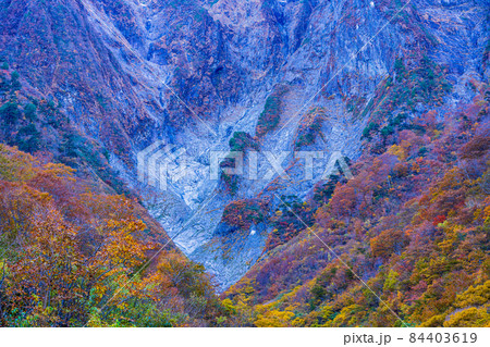 （群馬県）谷川岳・一ノ倉沢　岩壁の紅葉 84403619
