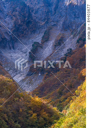 （群馬県）谷川岳・一ノ倉沢　岩壁の紅葉 84403677