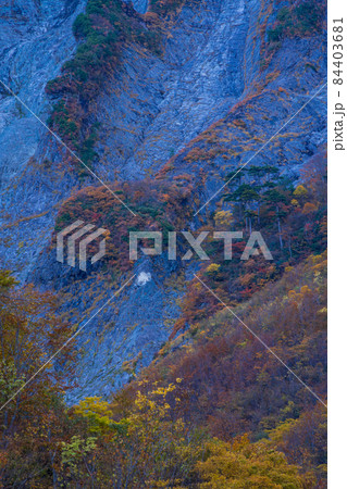 (群馬県)谷川岳・一ノ倉沢 岩壁の紅葉 (群馬県)谷川岳・一ノ倉沢 岩壁の紅葉 84403681