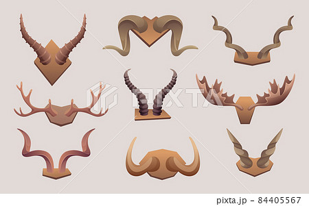 Animal horns. Engraved rams buffalo antlers sheep rams antelope exact vector isolated animal anatomic parts 84405567