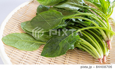 ほうれん草 ほうれん草 84408706