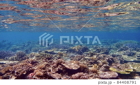 阿嘉島の珊瑚礁や海底の砂が綺麗な海の風景 阿嘉島の珊瑚礁や海底の砂が綺麗な海の風景 84408791