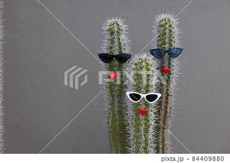 Fun cactuses with the sunglasses and red lips. Fun cactuses with the sunglasses and red lips. 84409880