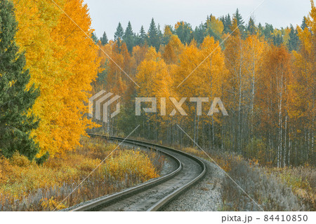 Long railway line at autumn day time. Long railway line at autumn day time. 84410850