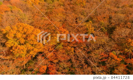 山の紅葉 山の紅葉 84411728