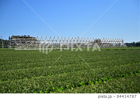 大根やぐら 大根やぐら 84414787