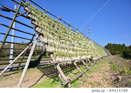大根やぐら 大根やぐら 84414789
