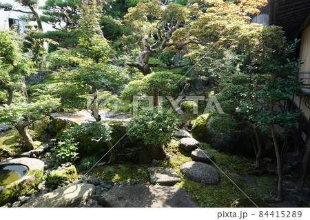 古翠園散歩 古翠園散歩 84415289