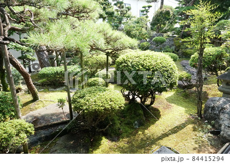 北国街道安藤家の古翠園散歩 北国街道安藤家の古翠園散歩 84415294