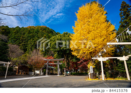 秋の色づく高麗神社 秋の色づく高麗神社 84415376