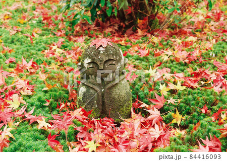 (京都)圓光寺で散りもみじと地蔵 (京都)圓光寺で散りもみじと地蔵 84416093