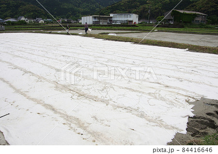 稲作　真綿農法 84416646