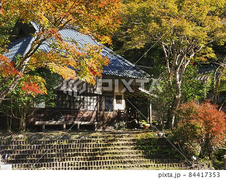 羅漢の里水車小屋の紅葉　羅漢の里の紅葉　羅漢渓谷の紅葉 84417353