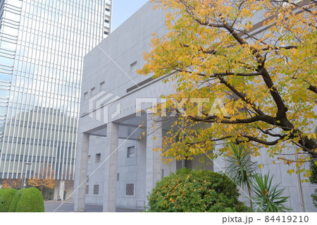 銀行と黄色く紅葉する樹木(日本銀行名古屋支店 愛知県 名古屋市) 銀行と黄色く紅葉する樹木(日本銀行名古屋支店 愛知県 名古屋市) 84419210