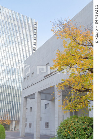 銀行と黄色く紅葉する樹木（日本銀行名古屋支店　愛知県 名古屋市） 84419211