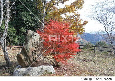 紅葉と城跡(市場城址 愛知県 豊田市) 紅葉と城跡(市場城址 愛知県 豊田市) 84419226