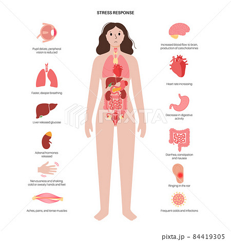 Stress responce system 84419305