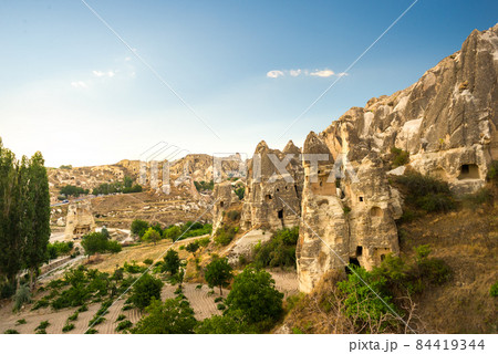 Wineyard in Cappadocia 84419344