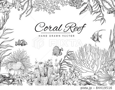 Coral reef hand drawn banner or flyer, vector illustration in engraved sketch style. 84419516